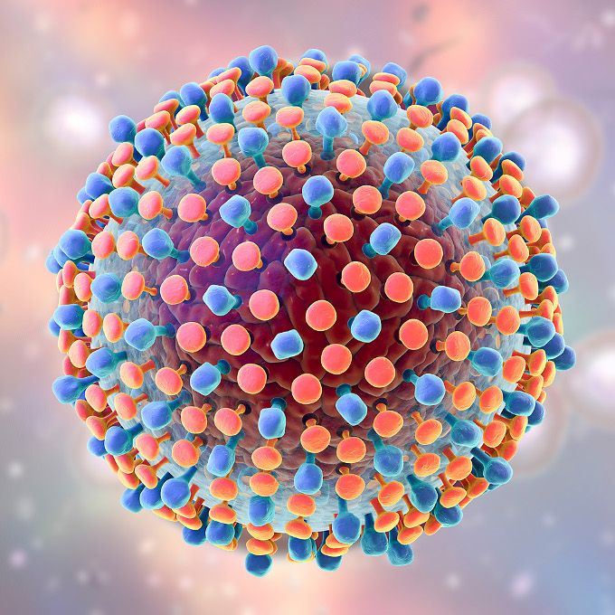 Hepatitis C virus